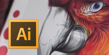 Curso Adobe Illustrator