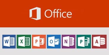 Microsoft Office Professional