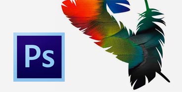 Curso Adobe PhotoShop